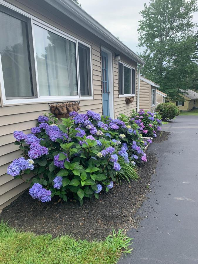 Northeaster Motel Kittery Exteriér fotografie